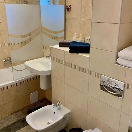 Brasovechi Apart Apartment