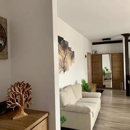 Apartment Brasovechi Apart