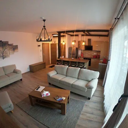Brasovechi Apart Apartment